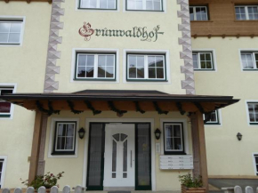 Apartment Grünwaldhof Top 3, Waidring, Österreich